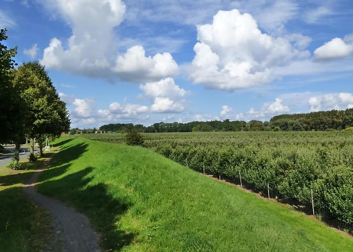 Fewo im Alten Land Hamburg